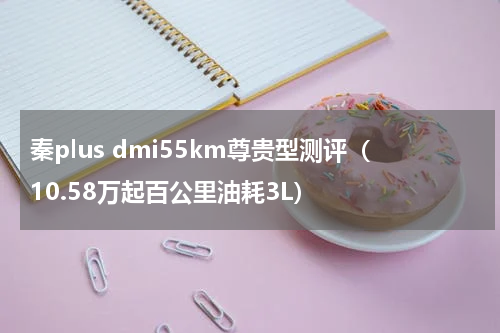 秦plus dmi55km尊贵型测评（10.58万起百公里油耗3L）