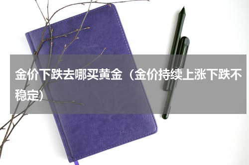 金价下跌去哪买黄金（金价持续上涨下跌不稳定）