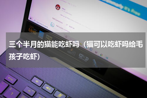 三个半月的猫能吃虾吗（猫可以吃虾吗给毛孩子吃虾）