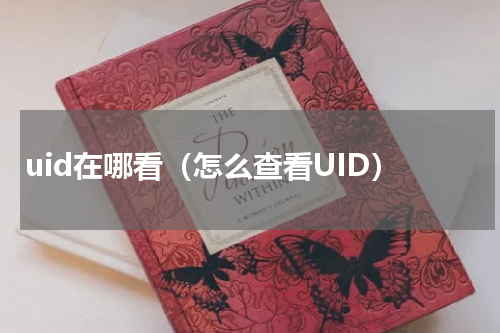 uid在哪看（怎么查看UID）