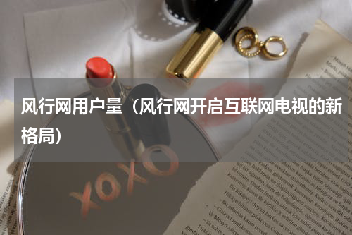 风行网用户量（风行网开启互联网电视的新格局）