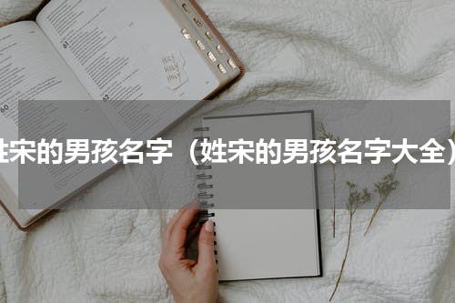姓宋的男孩名字（姓宋的男孩名字大全）
