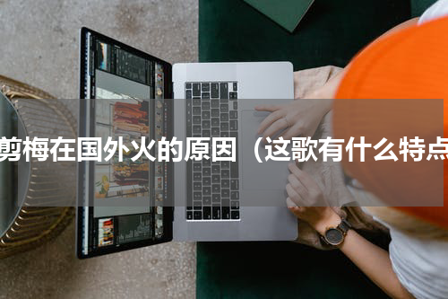 一剪梅在国外火的原因（这歌有什么特点）