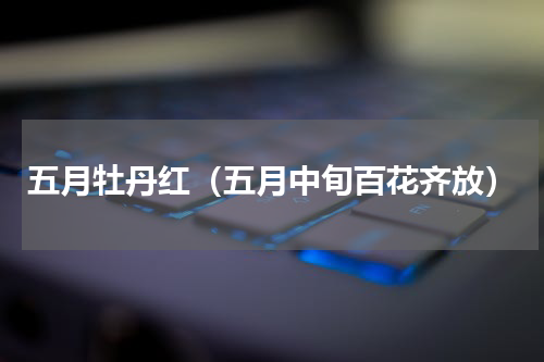五月牡丹红（五月中旬百花齐放）