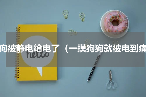 狗狗被静电给电了（一摸狗狗就被电到痛）