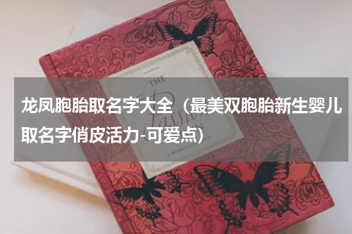 龙凤胞胎取名字大全（最美双胞胎新生婴儿取名字俏皮活力-可爱点）