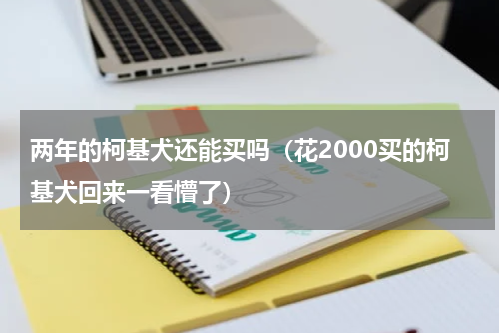 两年的柯基犬还能买吗（花2000买的柯基犬回来一看懵了）