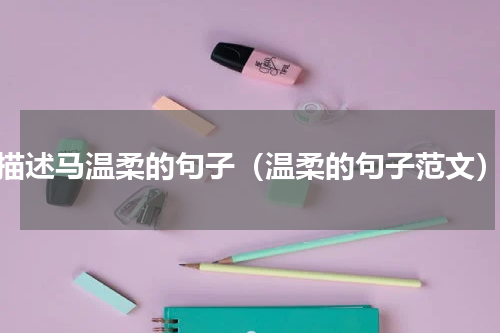 描述马温柔的句子（温柔的句子范文）