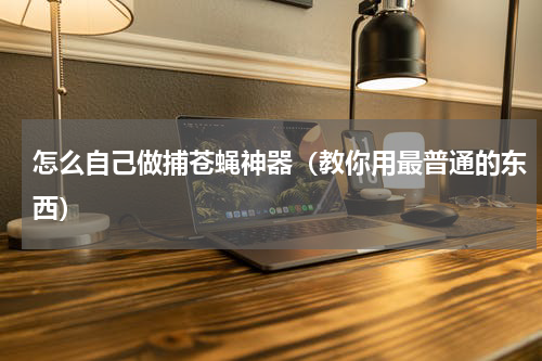 怎么自己做捕苍蝇神器（教你用最普通的东西）