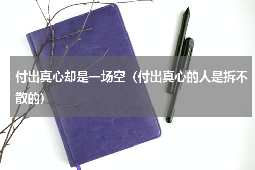 付出真心却是一场空（付出真心的人是拆不散的）
