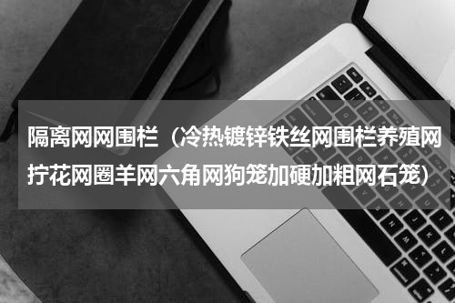 隔离网网围栏（冷热镀锌铁丝网围栏养殖网拧花网圈羊网六角网狗笼加硬加粗网石笼）