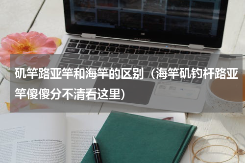 矶竿路亚竿和海竿的区别（海竿矶钓杆路亚竿傻傻分不清看这里）
