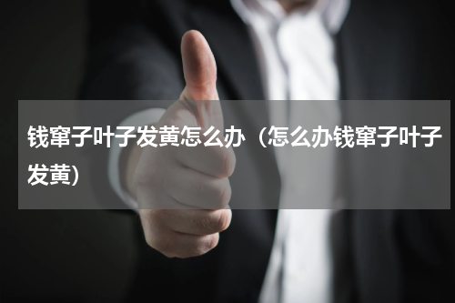 钱窜子叶子发黄怎么办（怎么办钱窜子叶子发黄）