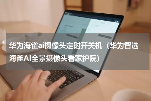 华为海雀ai摄像头定时开关机（华为智选海雀AI全景摄像头看家护院）