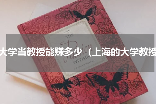 去大学当教授能赚多少（上海的大学教授）