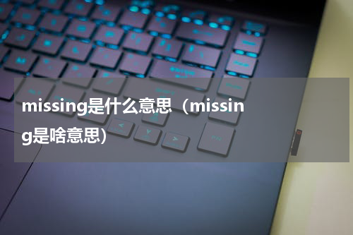 missing是什么意思（missing是啥意思）