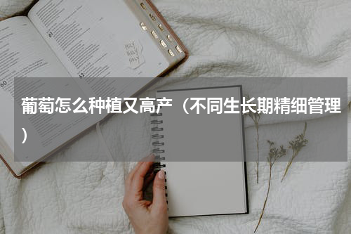 葡萄怎么种植又高产（不同生长期精细管理）