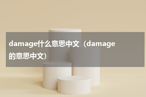 damage什么意思中文（damage的意思中文）