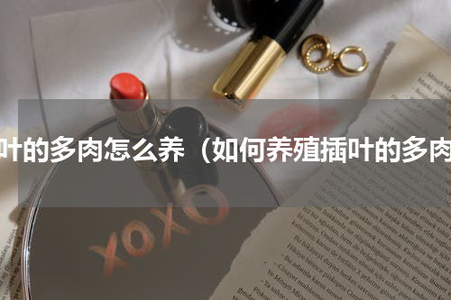 插叶的多肉怎么养（如何养殖插叶的多肉）