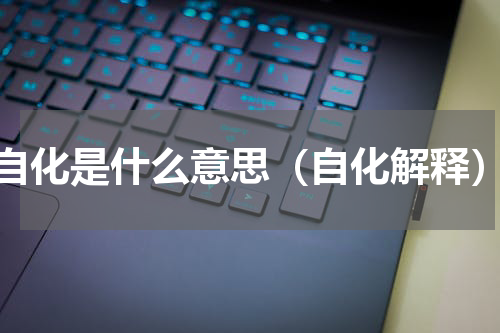 自化是什么意思（自化解释）
