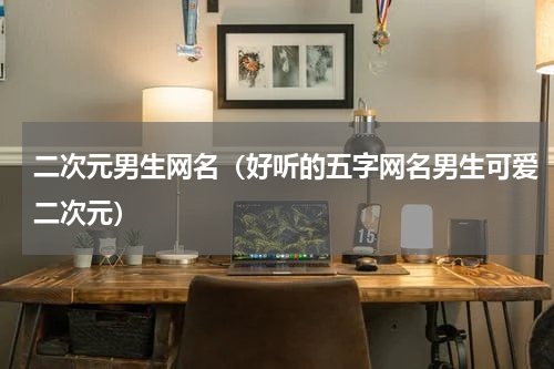 二次元男生网名（好听的五字网名男生可爱二次元）