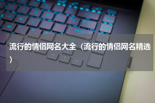 流行的情侣网名大全（流行的情侣网名精选）