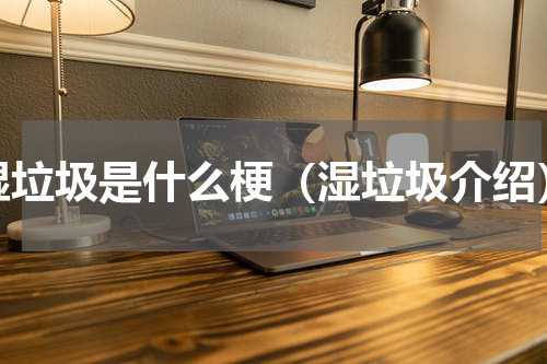 湿垃圾是什么梗（湿垃圾介绍）