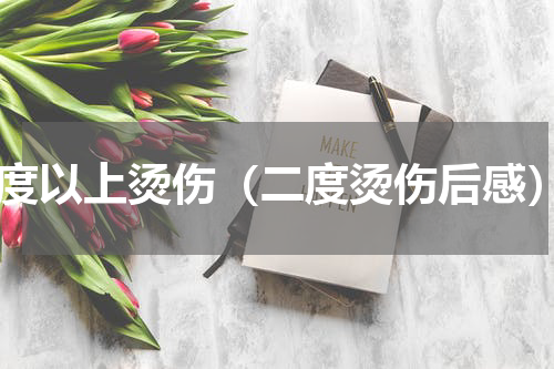 2度以上烫伤（二度烫伤后感）