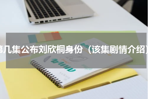 第几集公布刘欣桐身份（该集剧情介绍）