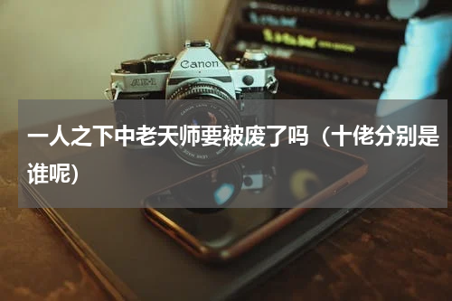一人之下中老天师要被废了吗（十佬分别是谁呢）