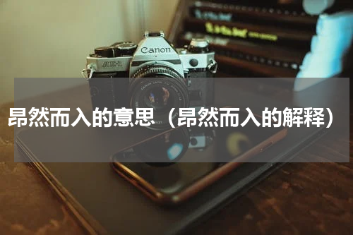 昂然而入的意思（昂然而入的解释）