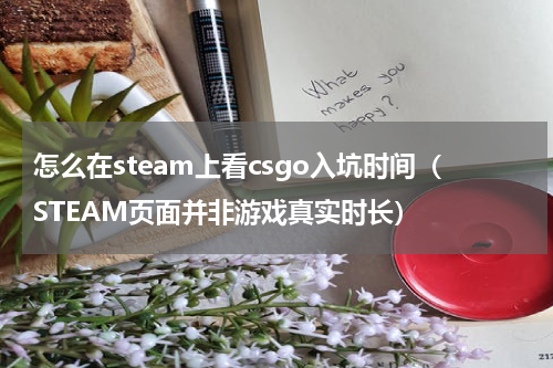 怎么在steam上看csgo入坑时间（STEAM页面并非游戏真实时长）