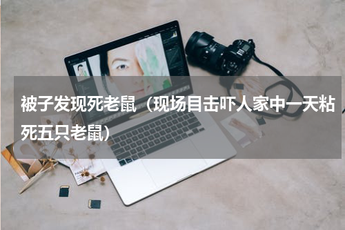 被子发现死老鼠（现场目击吓人家中一天粘死五只老鼠）