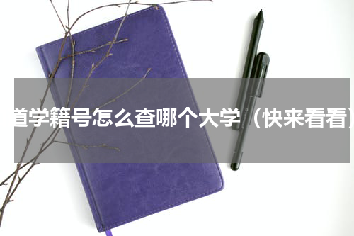 知道学籍号怎么查哪个大学（快来看看）