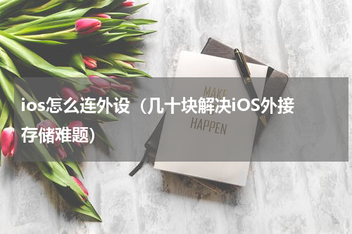 ios怎么连外设（几十块解决iOS外接存储难题）