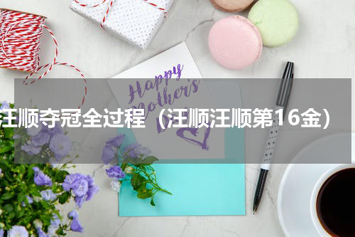 汪顺夺冠全过程（汪顺汪顺第16金）