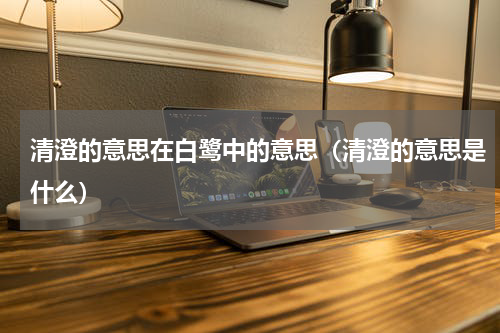 清澄的意思在白鹭中的意思（清澄的意思是什么）