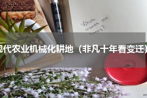 现代农业机械化耕地（非凡十年看变迁）