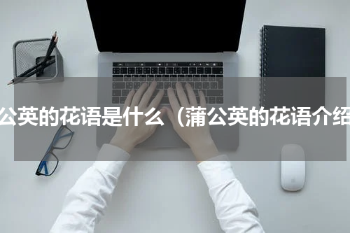 蒲公英的花语是什么（蒲公英的花语介绍）