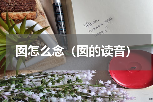 囡怎么念（囡的读音）