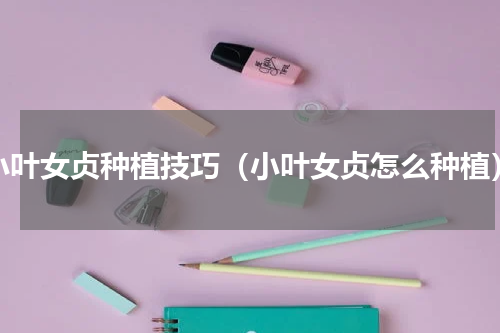 小叶女贞种植技巧（小叶女贞怎么种植）