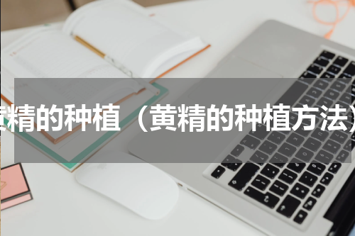 黄精的种植（黄精的种植方法）