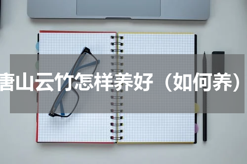 唐山云竹怎样养好（如何养）