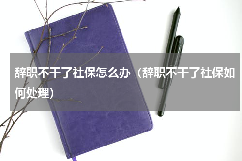 辞职不干了社保怎么办（辞职不干了社保如何处理）