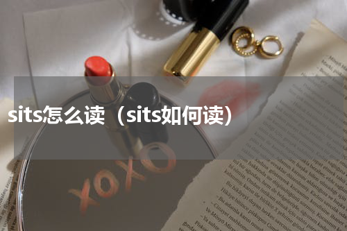 sits怎么读（sits如何读）