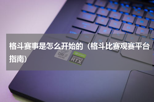 格斗赛事是怎么开始的（格斗比赛观赛平台指南）