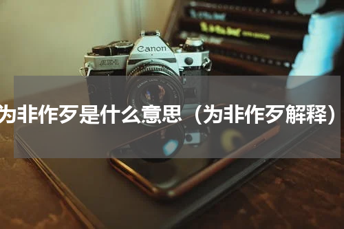 为非作歹是什么意思（为非作歹解释）