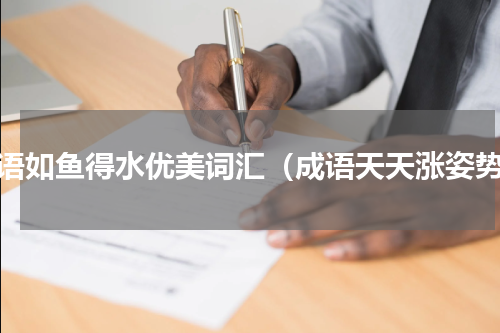 成语如鱼得水优美词汇（成语天天涨姿势）