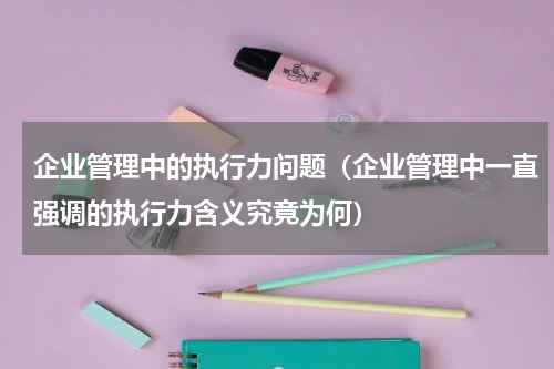 企业管理中的执行力问题（企业管理中一直强调的执行力含义究竟为何）