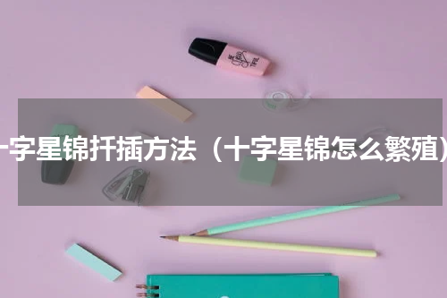 十字星锦扦插方法（十字星锦怎么繁殖）